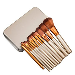 12pc Brush Set With Metal Storage Case